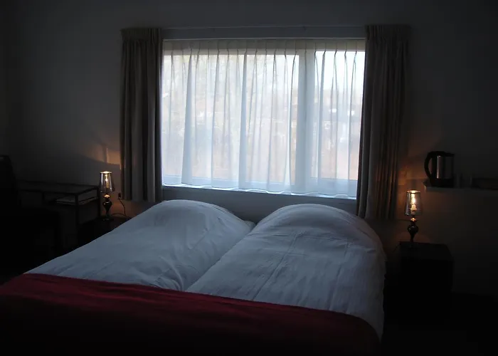 湖畔餐厅酒店 酒店 3*