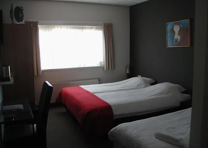 酒店 湖畔餐厅酒店 3*